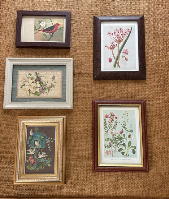 Curated Vintage Gallery Wall Set - Authentic vintage postcards & book plates.